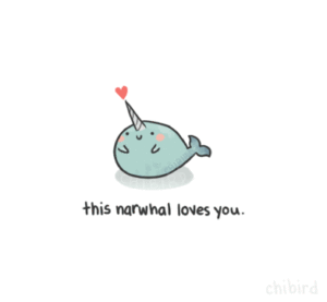 narwhal dolphin adventure